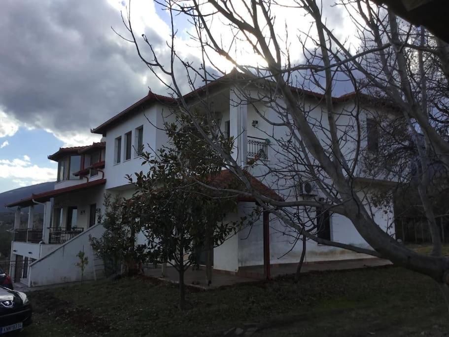 Villa_Kleio Litochoro Exterior photo